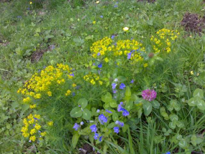 K640_17052009656.JPG