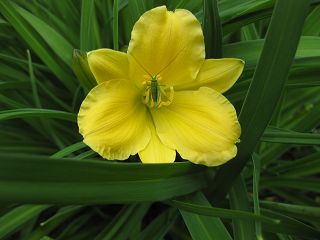 k-IMG_0366.jpg