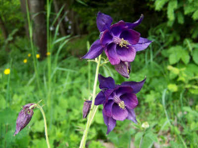100_7881.JPG