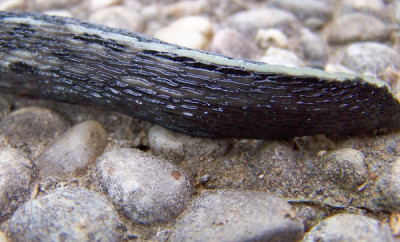 100_7822.JPG
