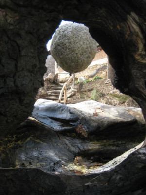 K640_IMG_3211.JPG