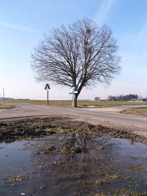 wild_west_kreuzung.jpg