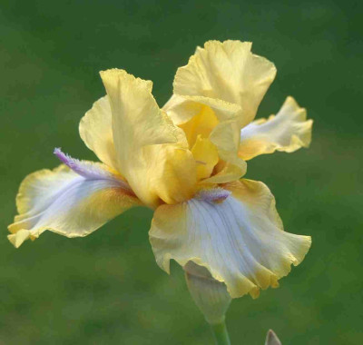 A8804a.JPG