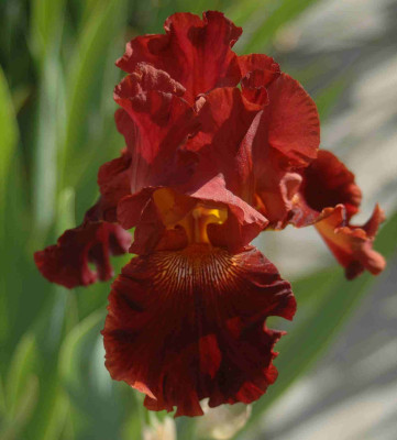 A8837a.JPG