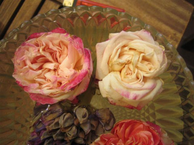 IMG_4651_Small.JPG