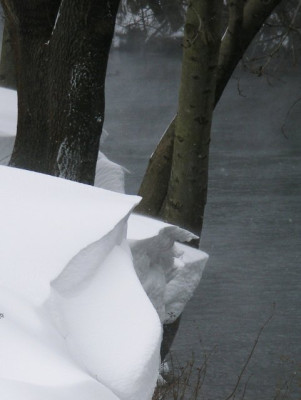 winterschneewachte.jpg
