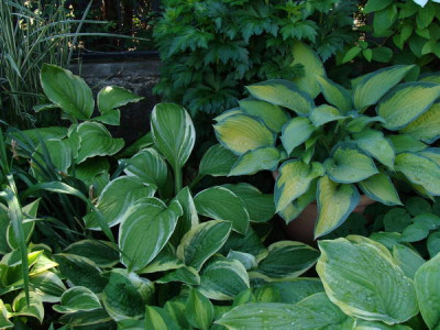 2009-05-17_09-37-01_-_DSC07849.JPG