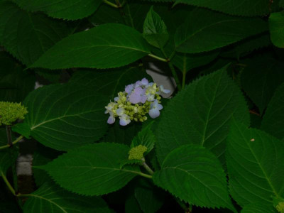 K800_P1070566.JPG
