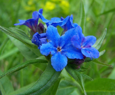100_7757.JPG