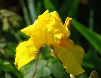 IMGP2256.jpg