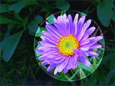 aster09.JPG