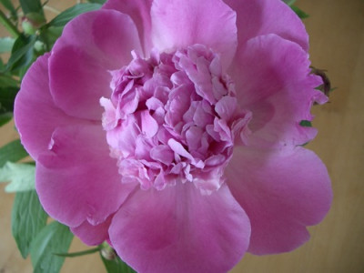 IMGP7618.JPG