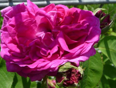 RdV_05_09_04.JPG