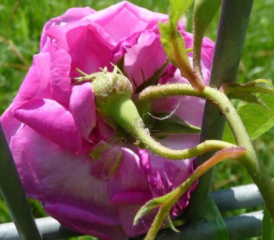 RdV_05_09_06.JPG