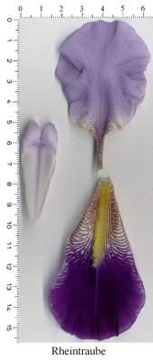 zb01_07sc1771_3.jpg