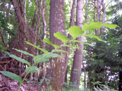 100_8176.JPG