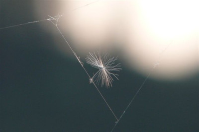 24.05.2009.60.JPG
