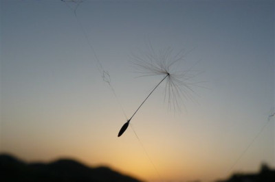 24.05.2009.20.JPG