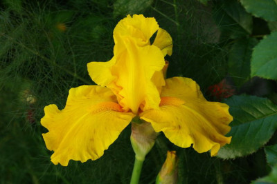 IMGP2356.jpg