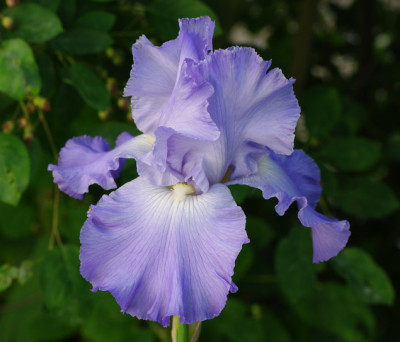 IMGP2358.jpg
