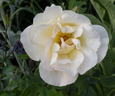 DSCN1117.JPG