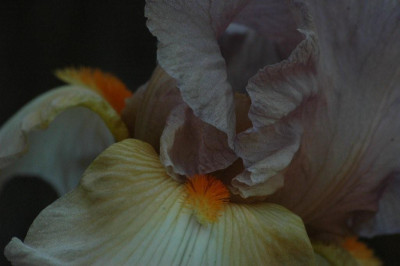 25._05._2009_070_2.jpg