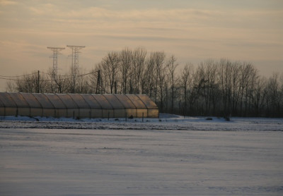 winterohnewind.jpg