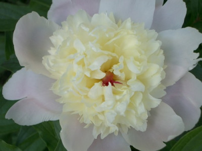 IMGP7667.JPG