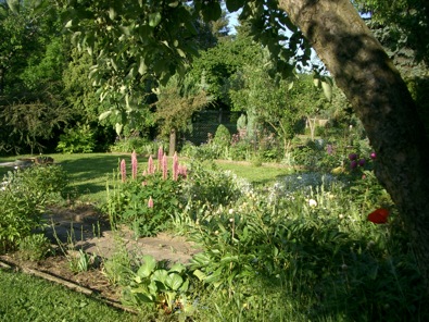 IMGP7640.JPG