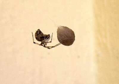 100_8232.JPG