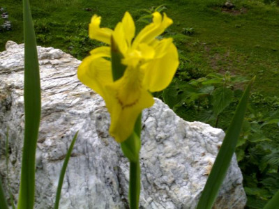 K640_26052009692.JPG
