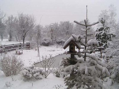 schnee_am_23_februar.jpg