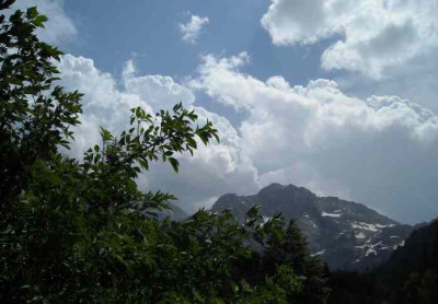DSCN0314_schermberg.jpg