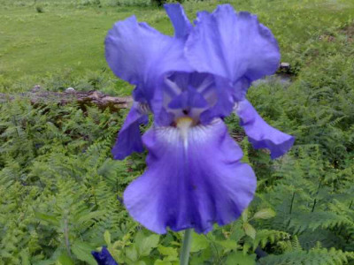 K640_30052009737.JPG