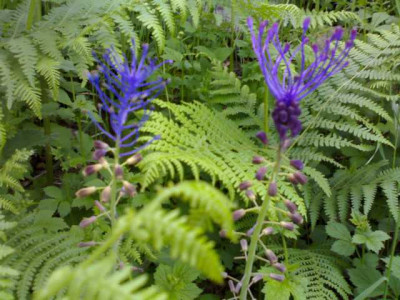 K640_30052009734.JPG