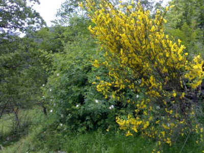K640_30052009724.JPG