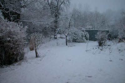 Winter1.jpg