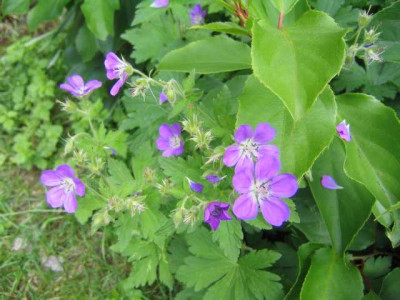 K640_IMG_4217.JPG