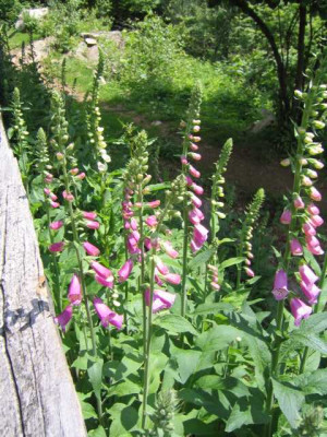 K640_IMG_4166.JPG