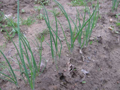 K640_IMG_0582.JPG