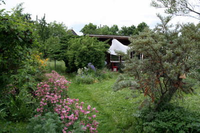 Conni82159.jpg
