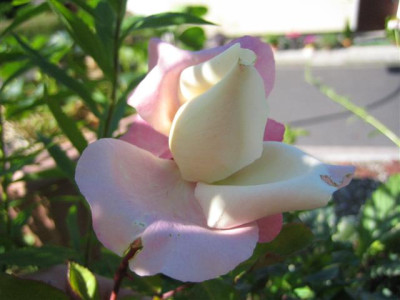 IMG_4948_Small.JPG