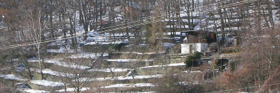 Forderflache_2004_01.jpg