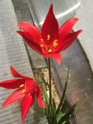 DSCF8666.JPG