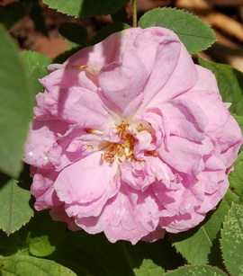 Soupert_et_Notting_DSC_0053.jpg