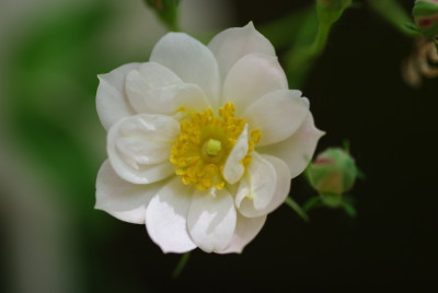 IMGP2507.jpg