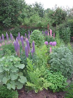k-IMG_0740.jpg