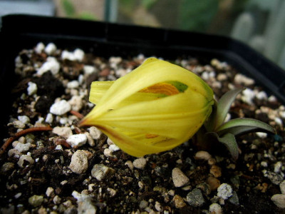 DSCF9210.JPG