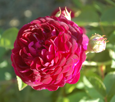 Ombree_Parfaite_0010__50155.jpg
