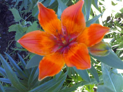 K640_02062009753.JPG